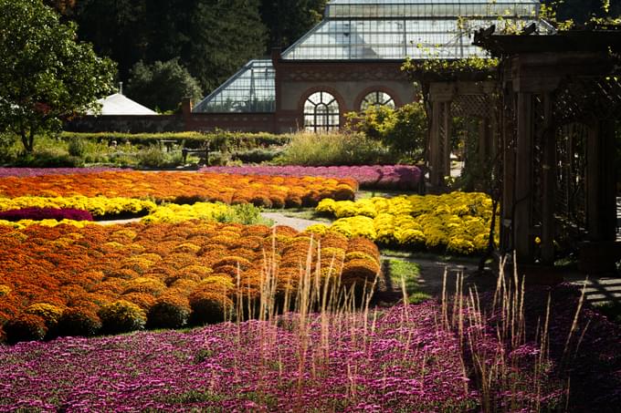 Arboretum Zone In Kew Gardens