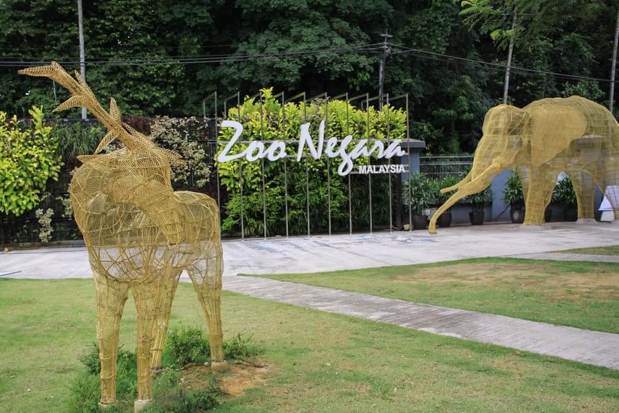 Explore the Wilderness at Zoo Negara