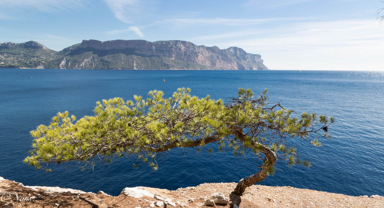 Calanque De Port-Miou, <em>France</em>
