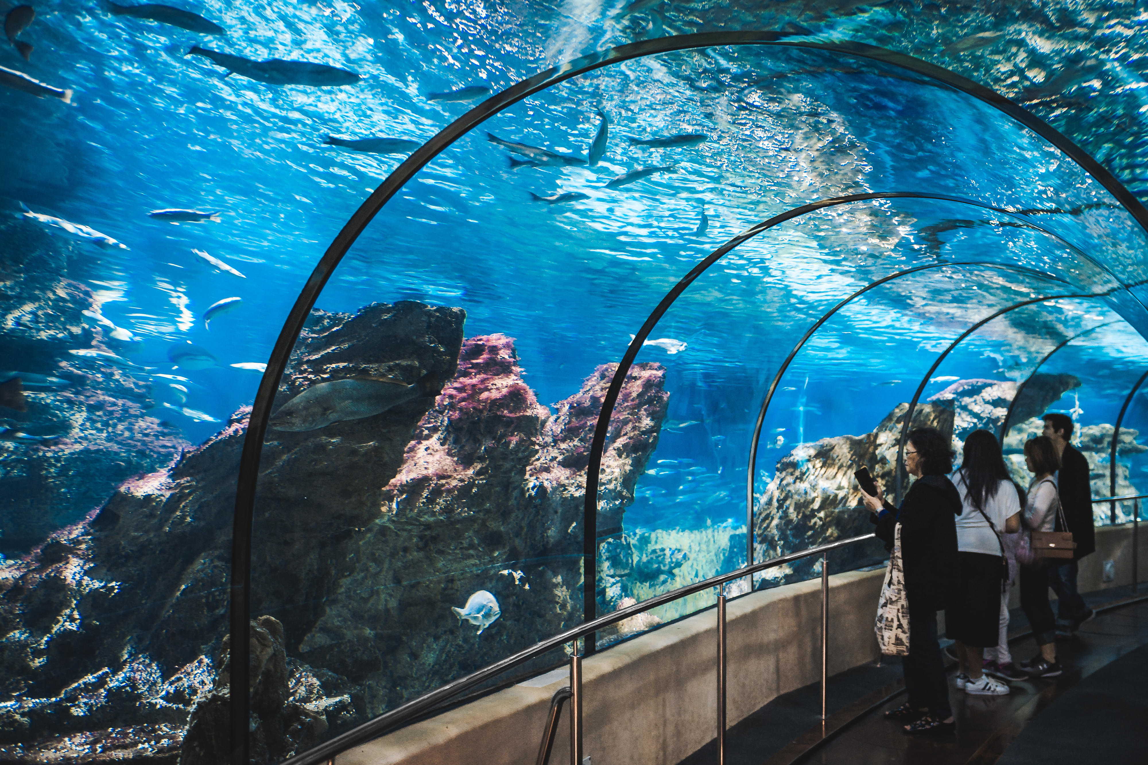  Aquarium Barcelona