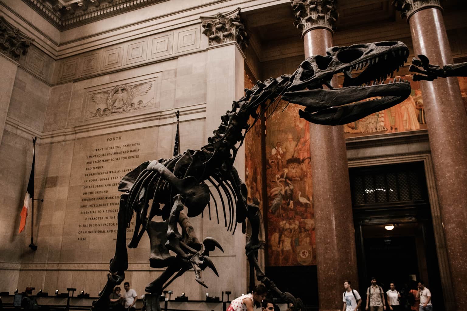 American Museum Of Natural History, <em>New York City</em>
