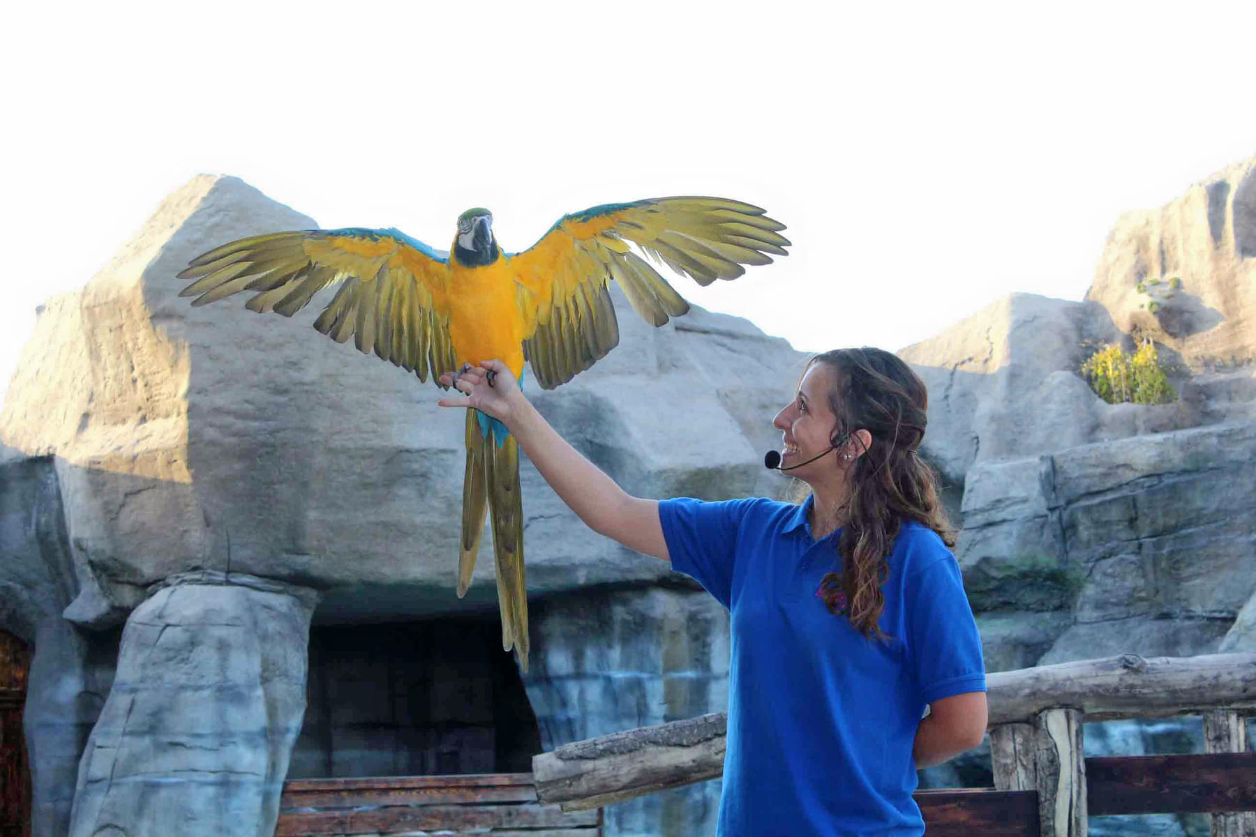Click Instagram worthy pictures with exotic birds