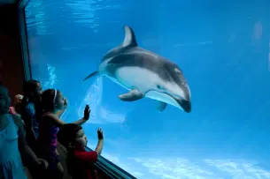 Mlqhf47f5wwp342mfvwfjepc2ecn shedd1