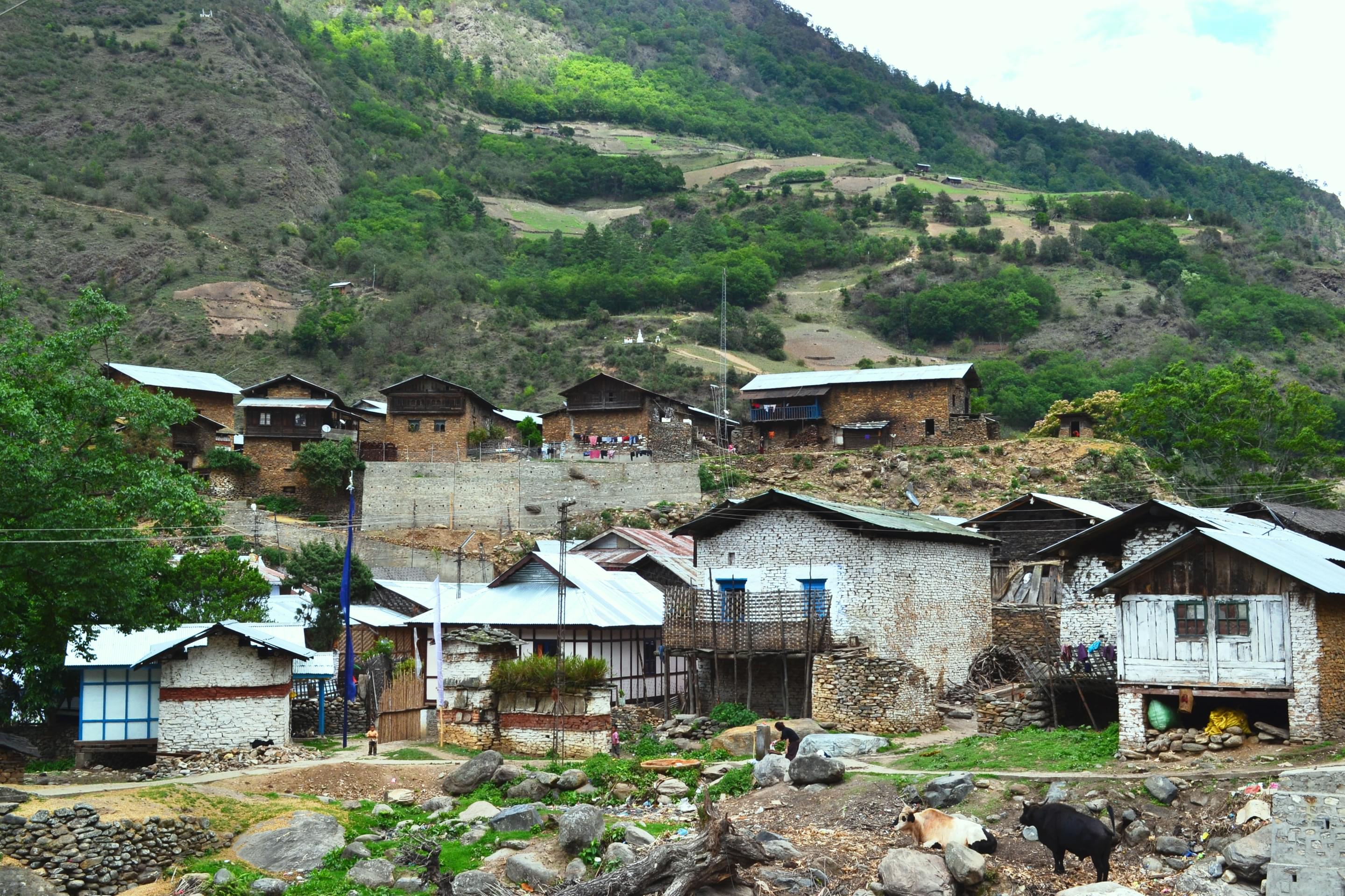 Dirang Dzong Overview