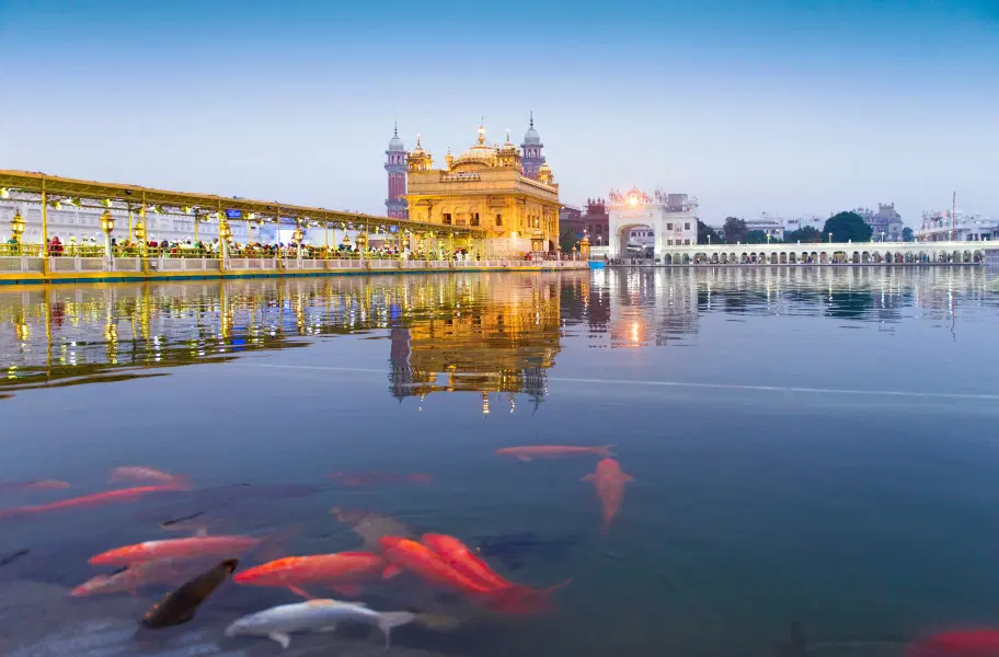 Full-Day Amritsar Sightseeing Tour Image