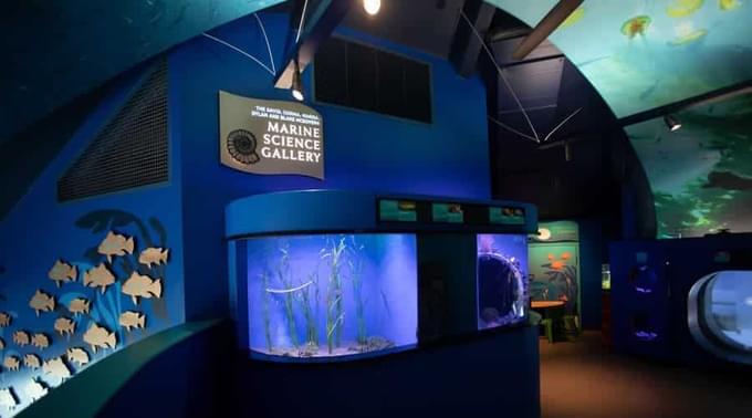  MARINE SCIENCE GALLERY