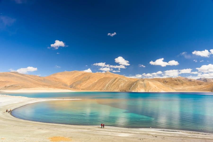 Visit the Pangong lake which is the world’s highest saltwater lake and stands out with its vibrant blue contrast to the arid mountains surrounding it. 