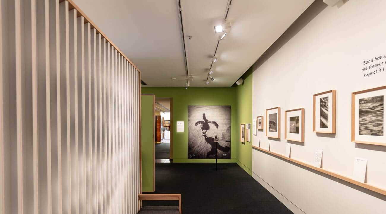 War Memorial Museum, <em>Auckland</em>