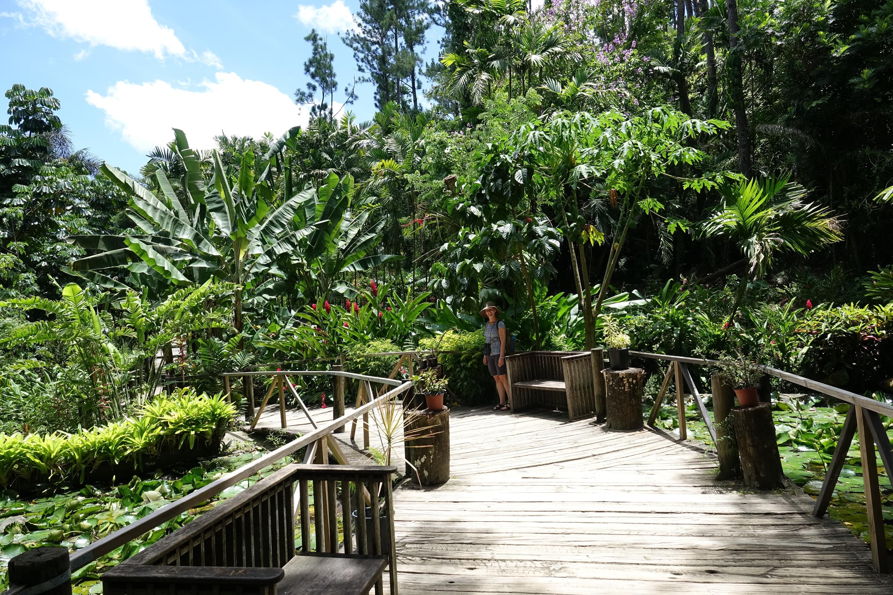 Garden of the Sleeping Giant Overview