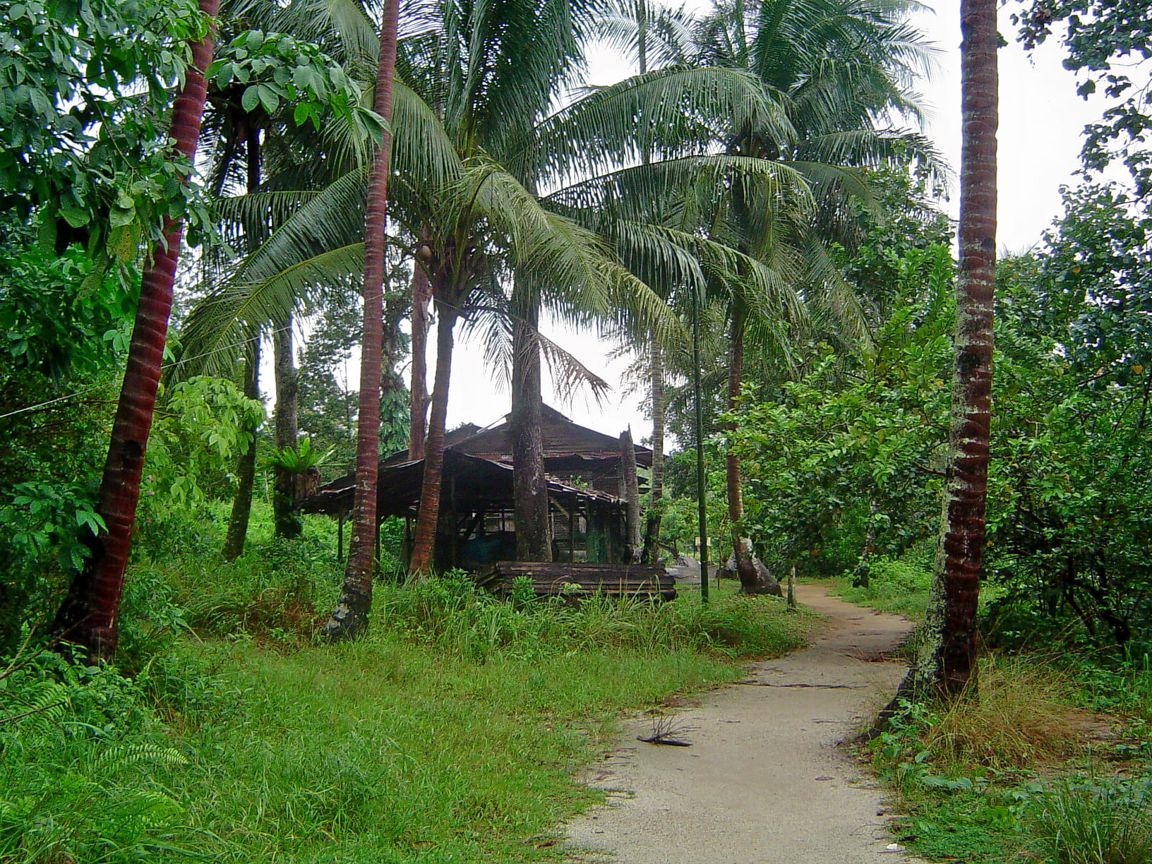 Pulau Ubin's Puaka Hill Overview