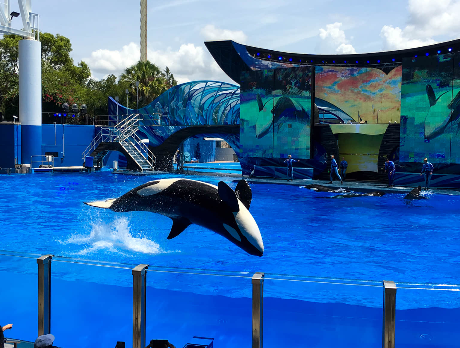 SeaWorld Orlando, <em>Orlando</em>