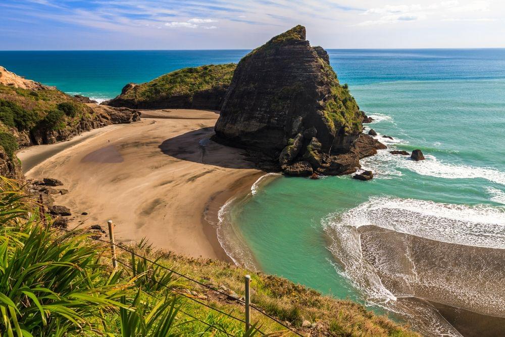 Piha Beach and Rainforest Tour