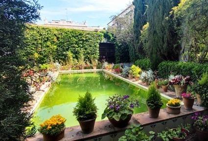 pool courtyard