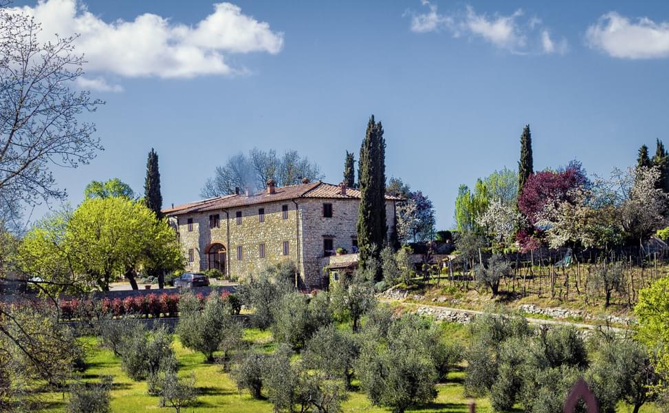 Day Trip To Chianti