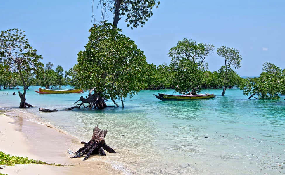 Corbyns Cove Beach, <em>Port Blair</em>