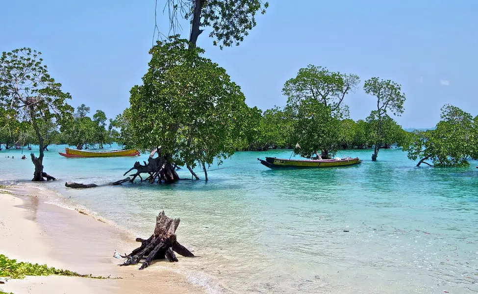 Corbyns Cove Beach