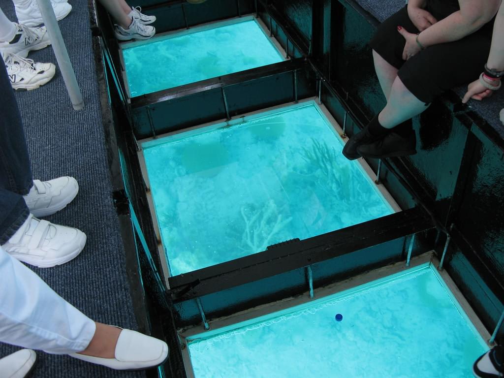 Indulge in a Glass Bottom Boat Ride
