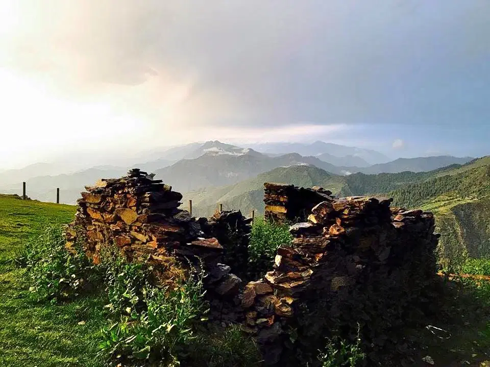 Photo from Kosha Modi's trip