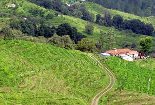 Ms8u3qmfk6mc0ipmb1ryqq3yfwpz 1550057269 chaubatia