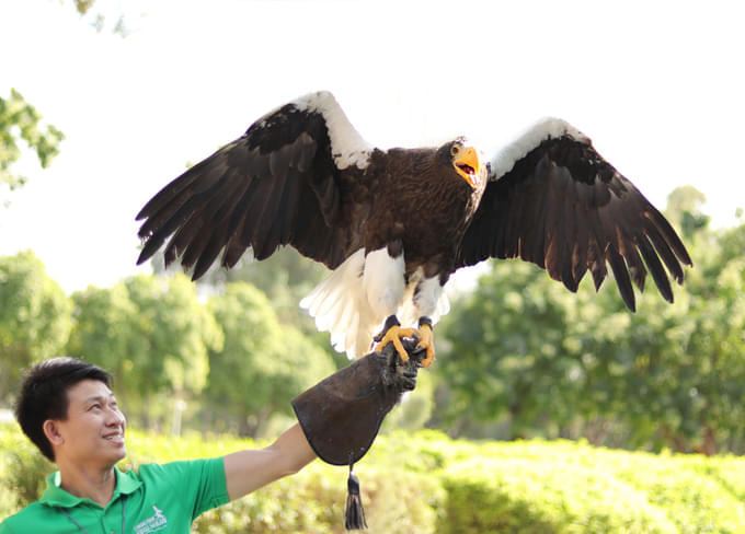 Attend the exotic birds show