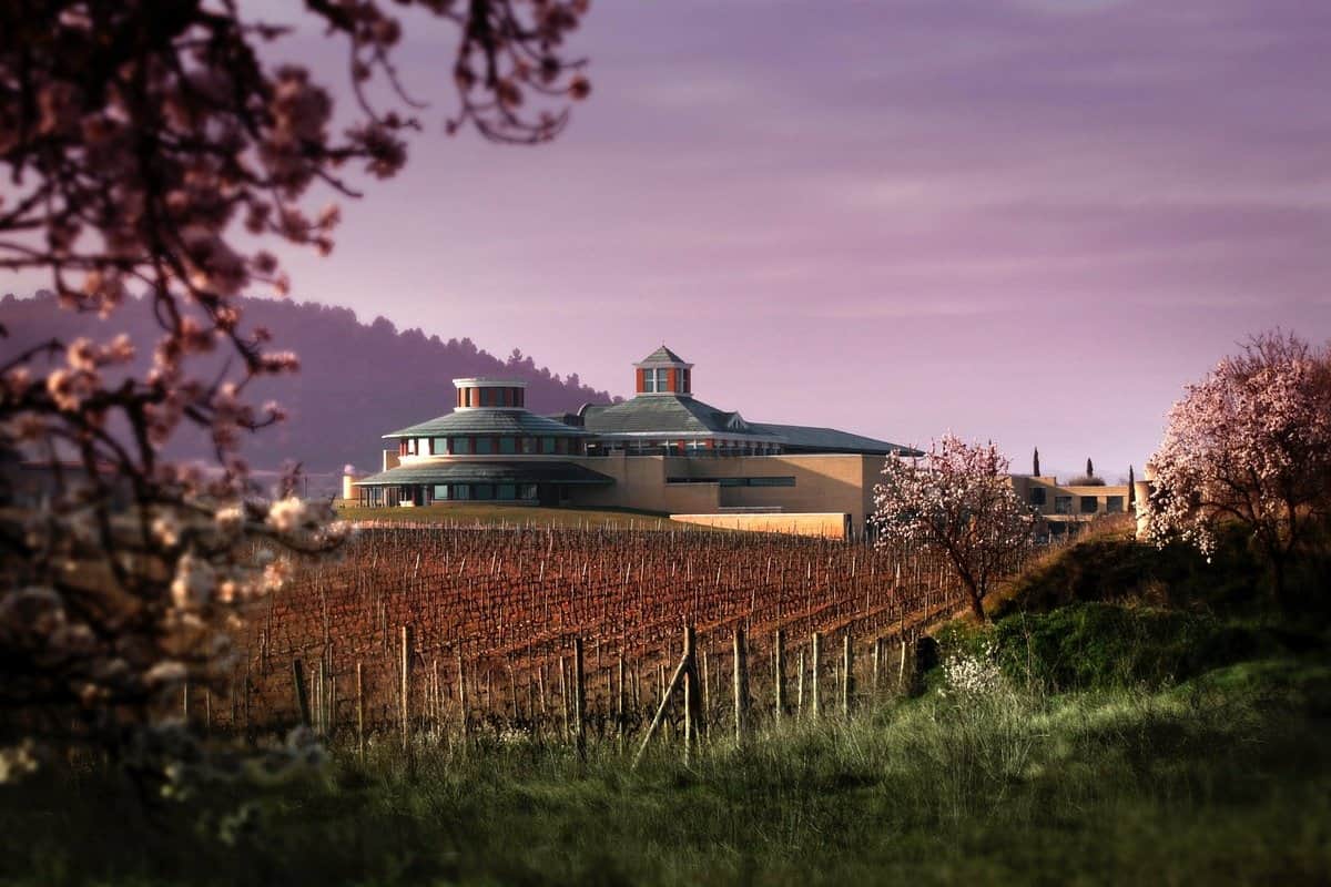 Historical Vineyard Replica
