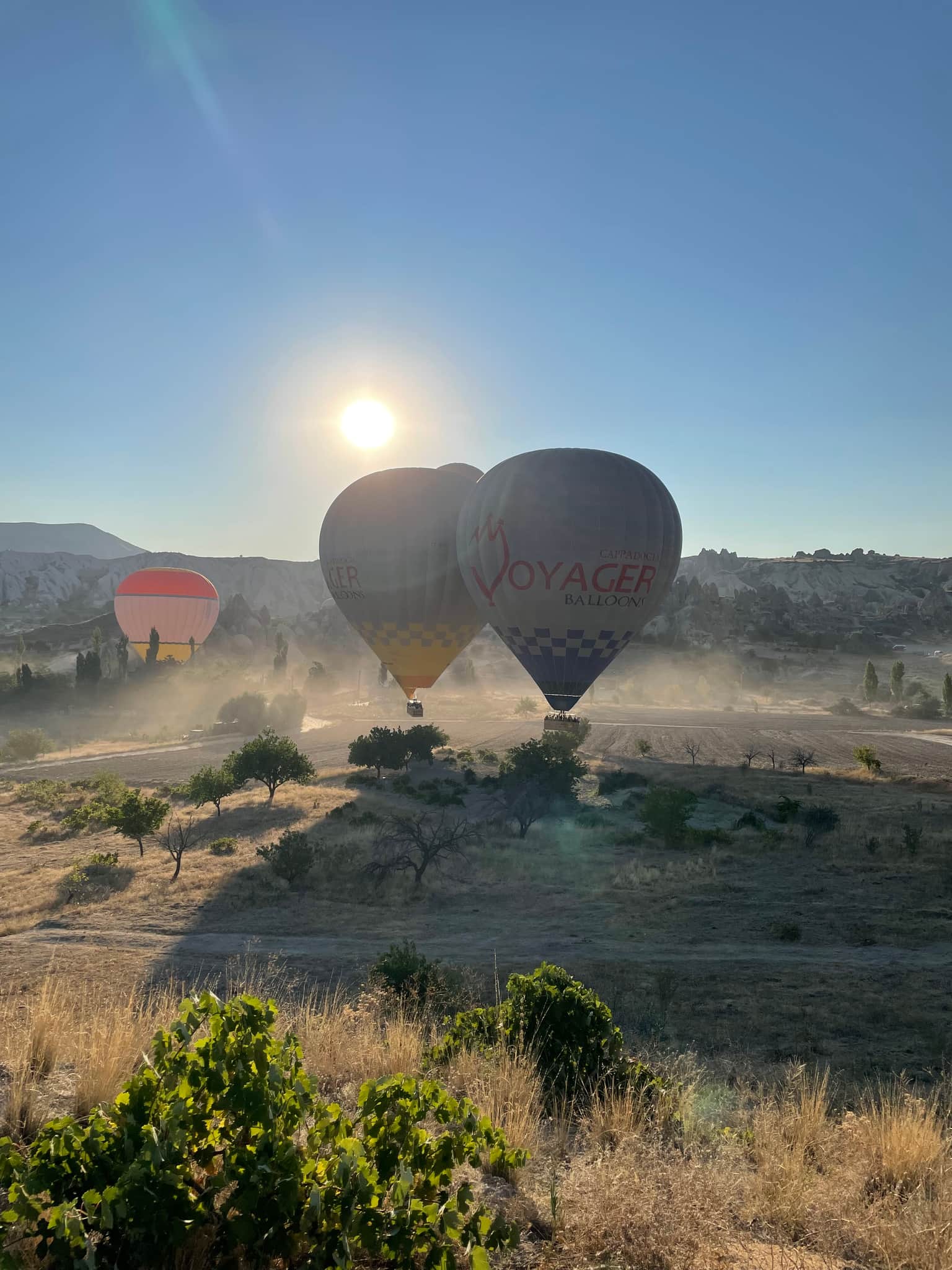 Photo from manish kumar's trip