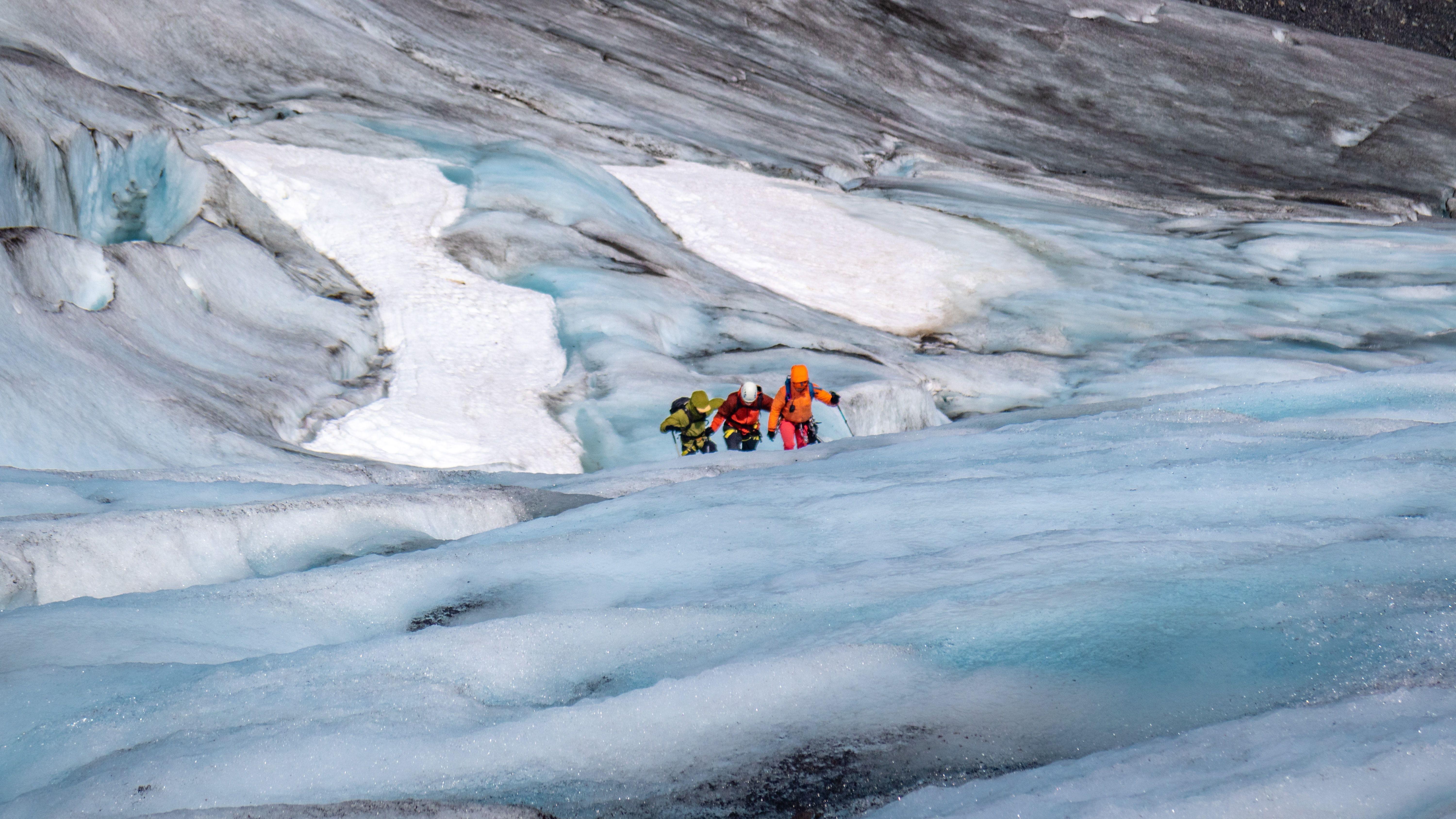 Glacier Bay