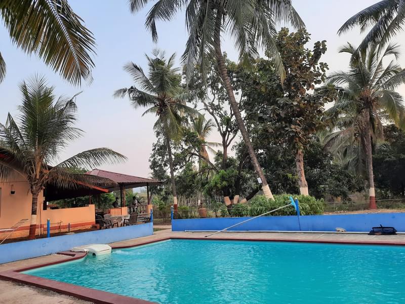 A Peaceful Villa Amidst Tall Palm Trees In Alibaug Image