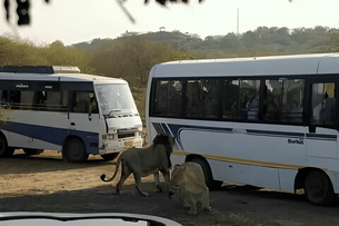 Mt8uoswqssigr4kyrdtt9ju4k22p whatsapp%20image%202024 12 17%20at%2011,12,22%20am enhanced