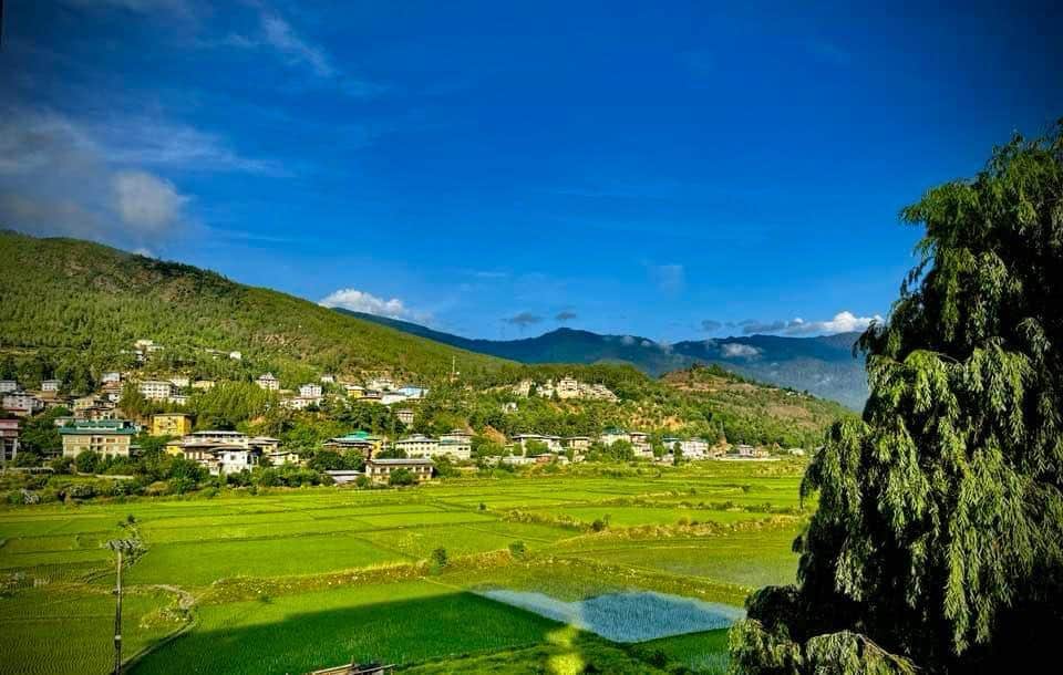 Photo from Shuchita DHAWAN's trip