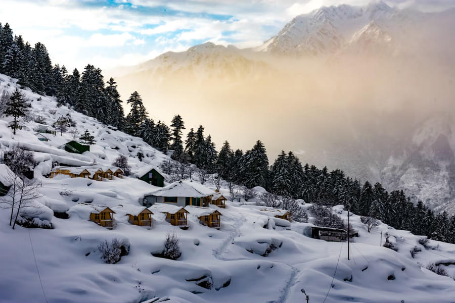 Auli Tour Packages | UPTO 50% Off February Month Offer