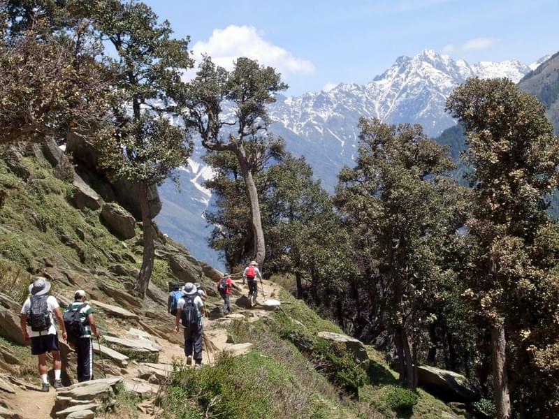 Jalsu Pass Trek Himachal Pradesh Image