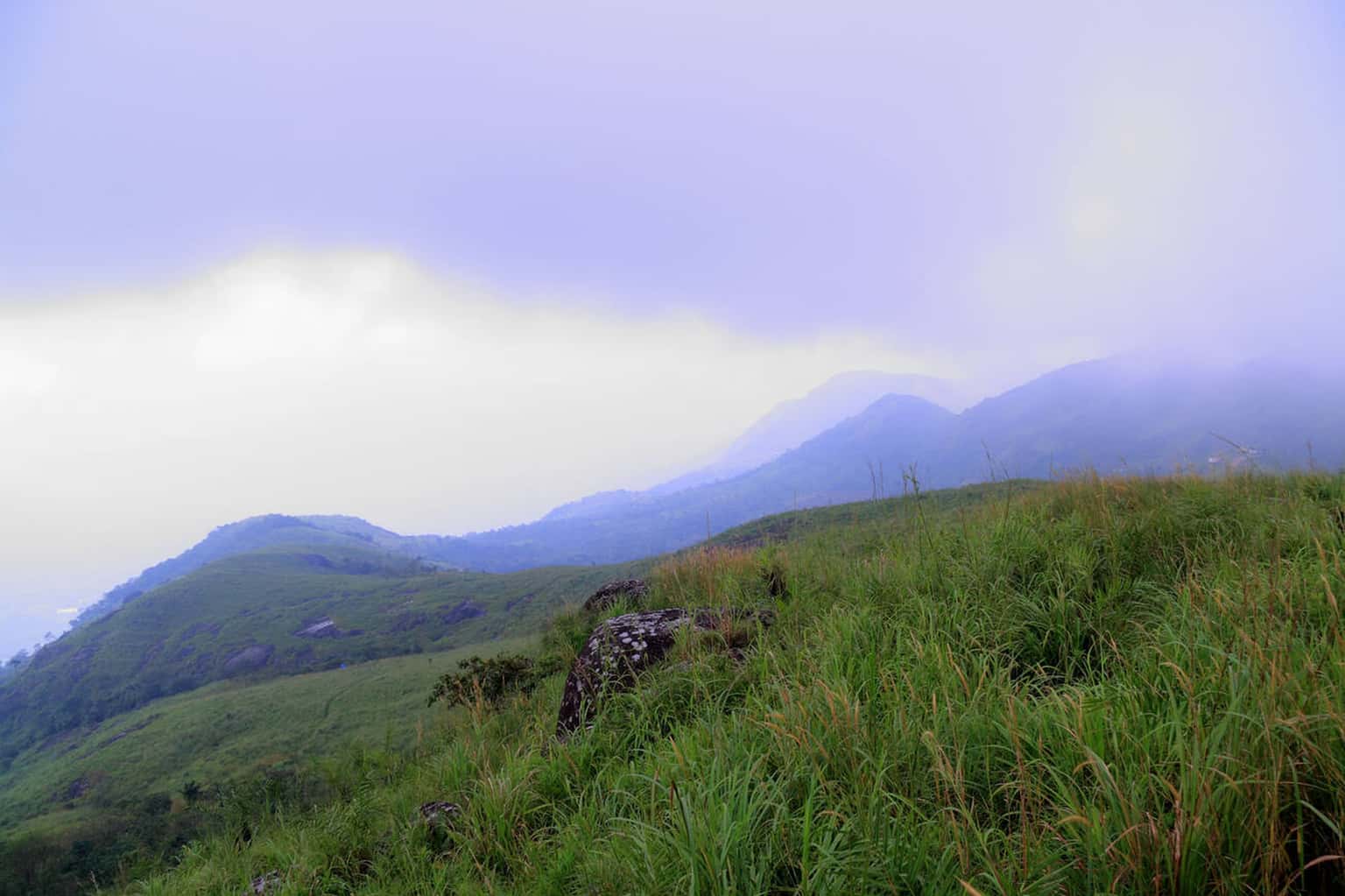 Cochin to Vagamon Sightseeing Tour