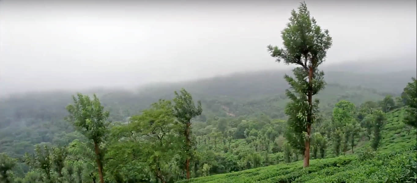 Photo from Vishwamitra Johar's trip