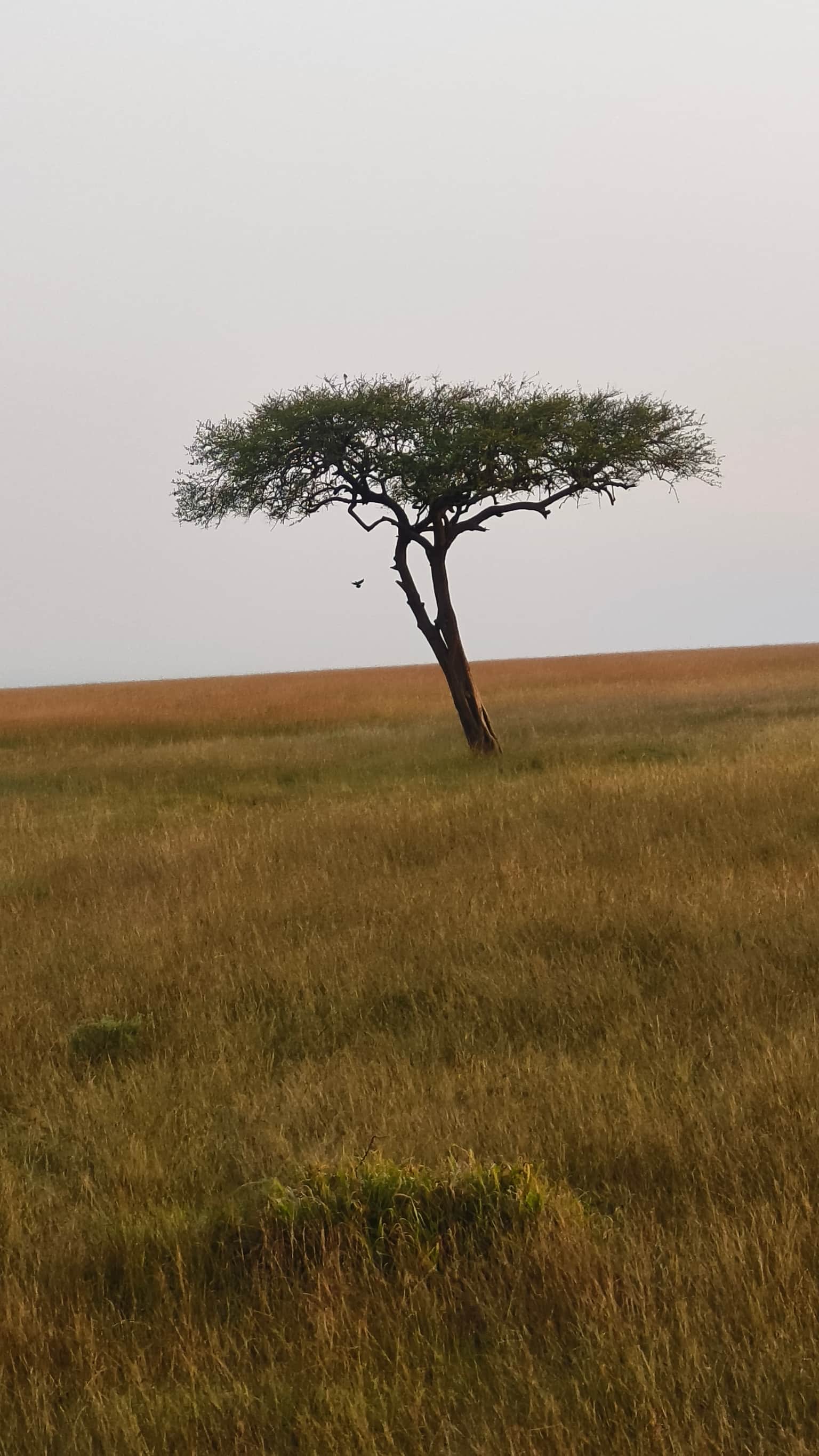 Photo from Avikal Mathur's trip