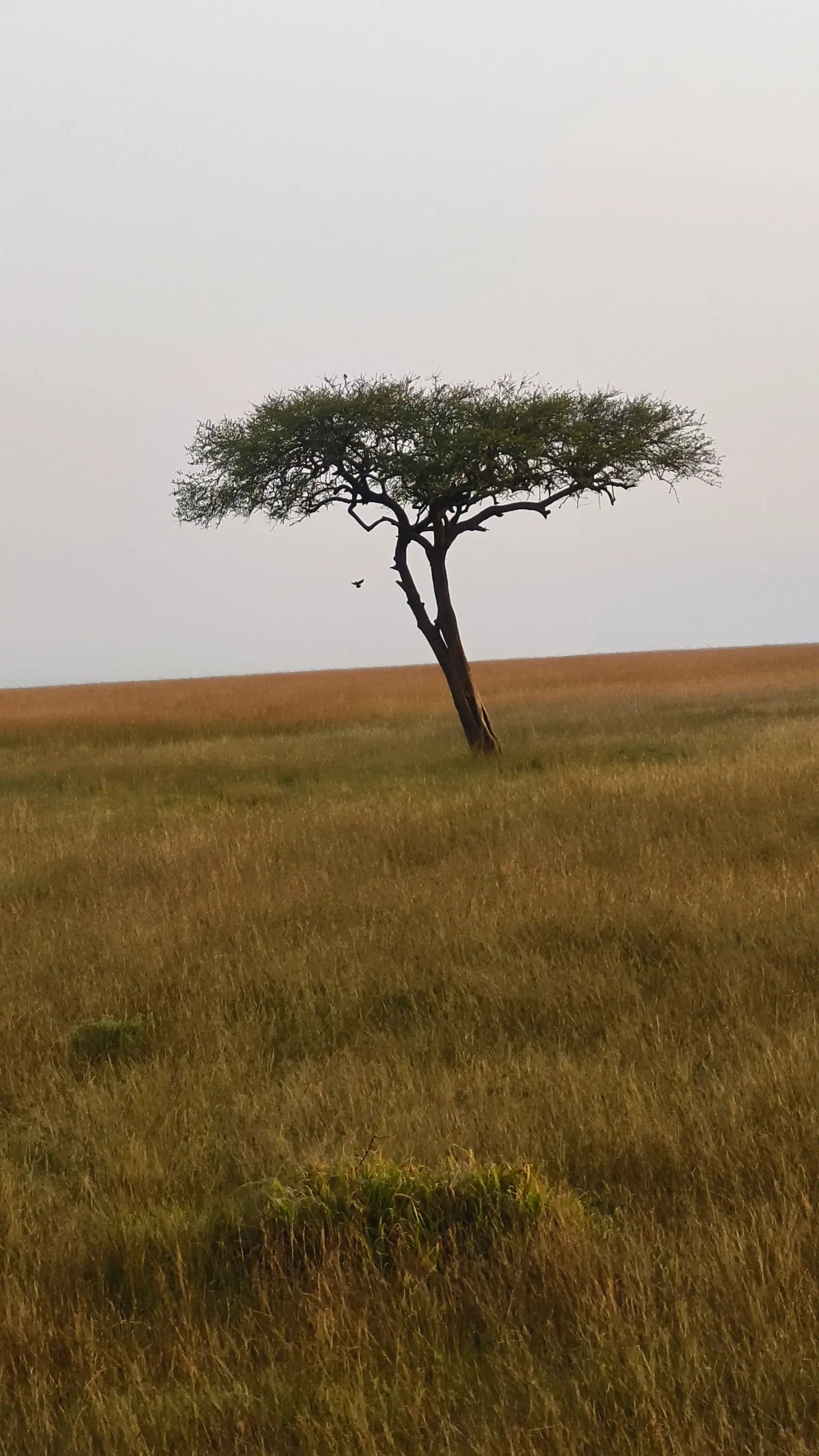 Photo from Avikal Mathur's trip