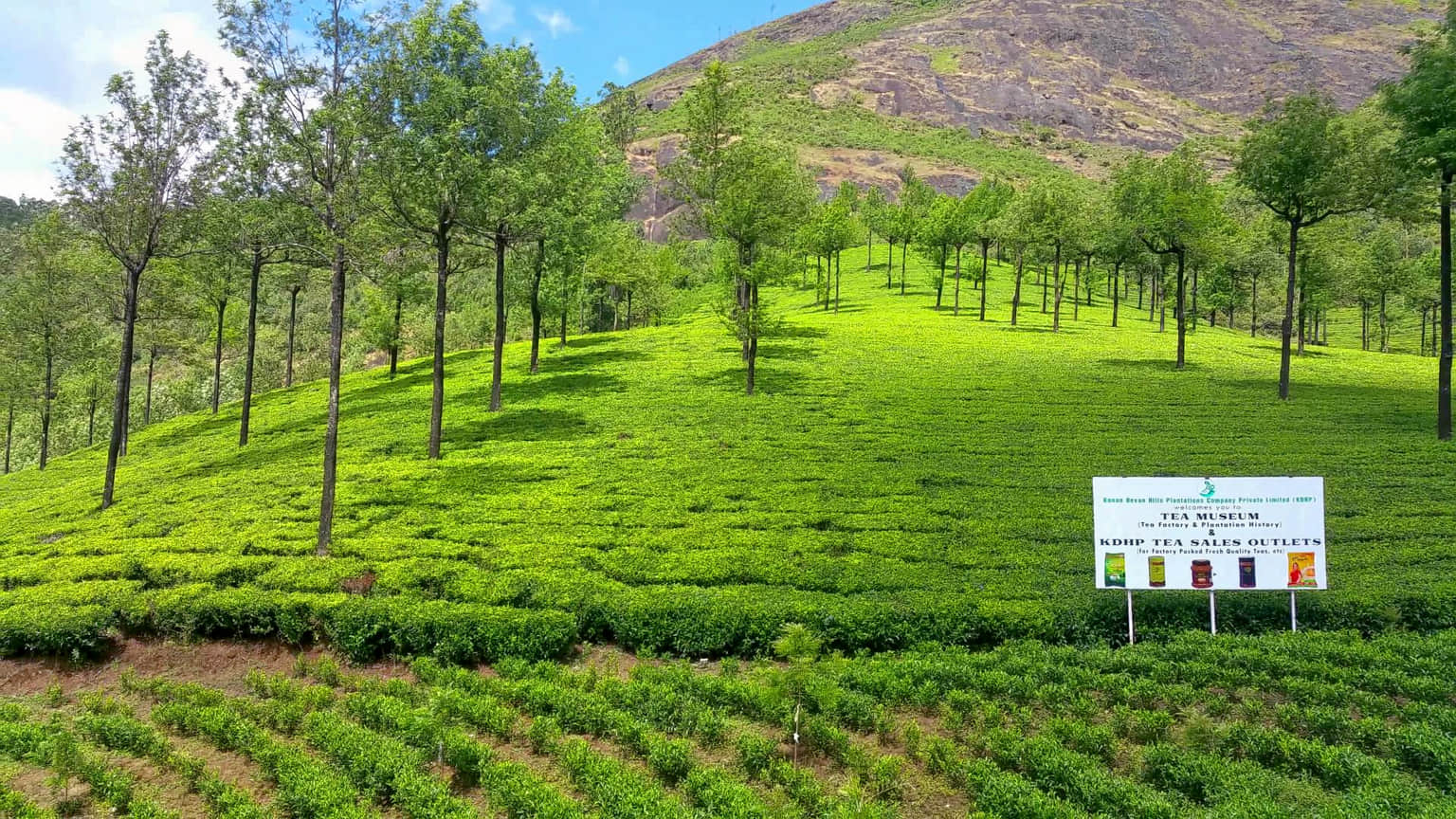 Photo Point, <em>Munnar</em>