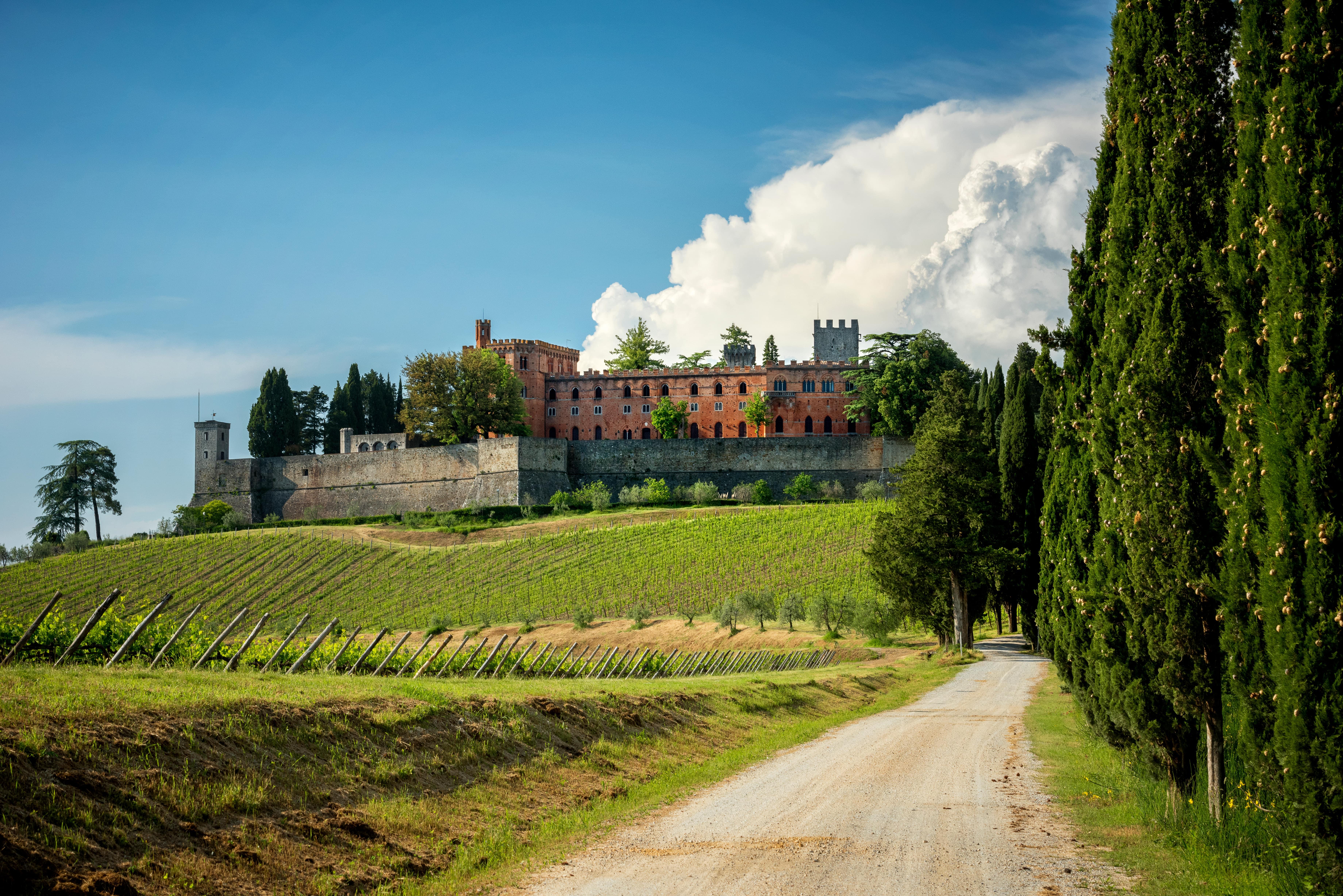 Chianti Castle Vineyard