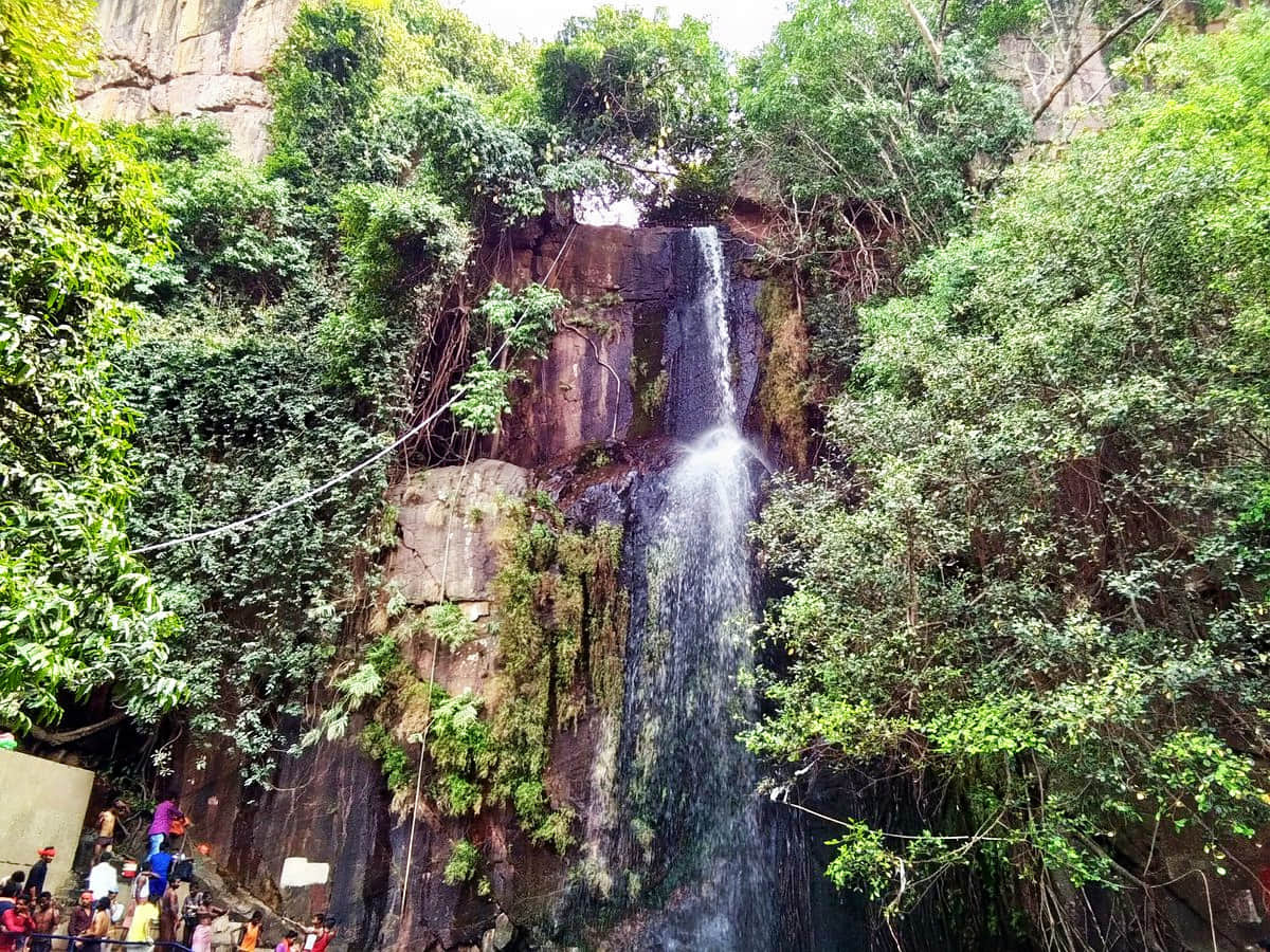 Kakolat Waterfall, Nawada, <em>Bihar</em>