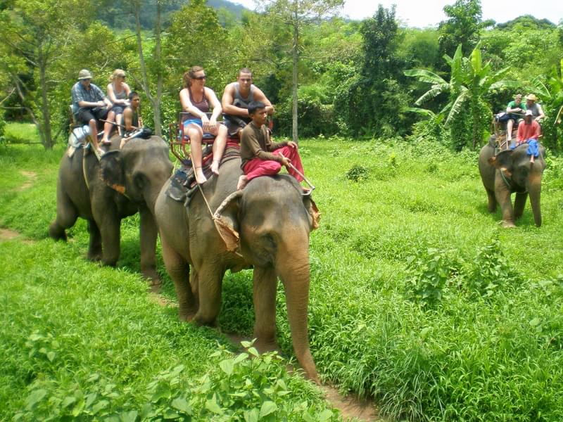 White Water Rafting Phuket With Elephant Ride Image