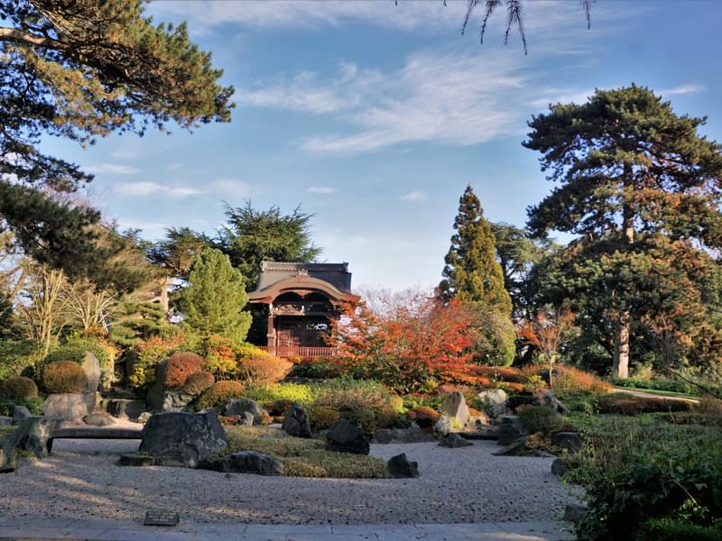 8 Things To Do In Kew Gardens In Autumn For A Memorable Trip