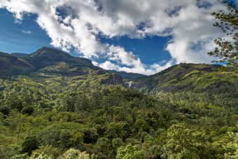 Munnar to Marayoor Sightseeing Tour