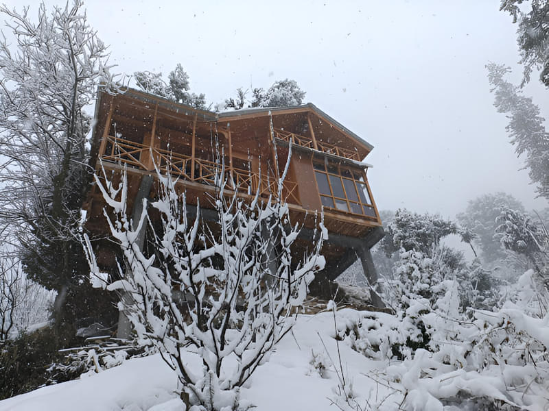 Luxury Panoramic Himalayan Treehouse Stay Image