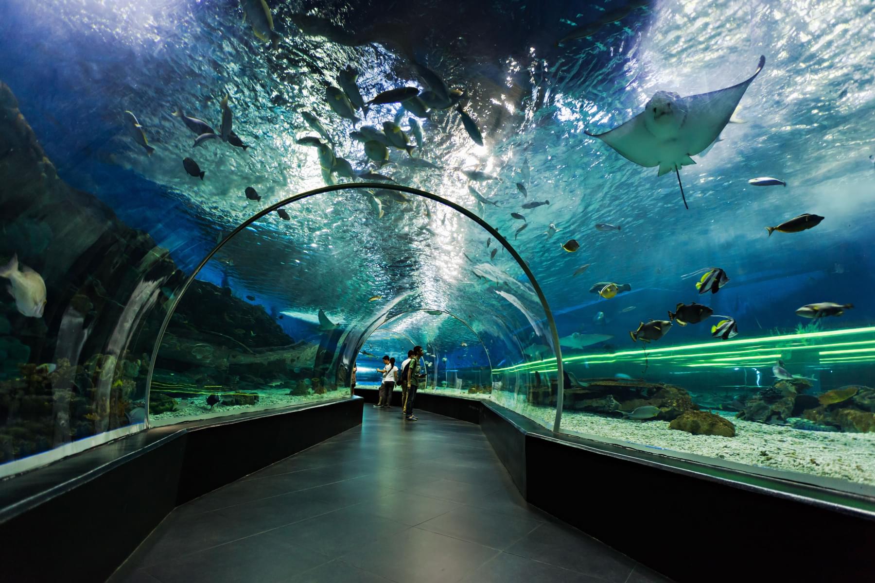 Dubai Aquarium and VR Park Tickets