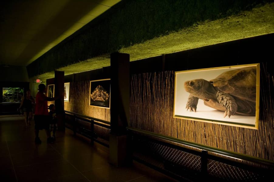 Zoo Atlanta Tickets Image