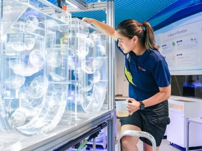 Behind The Scenes: Aquarist Lab (S.E.A. Aquarium Admission not Included)