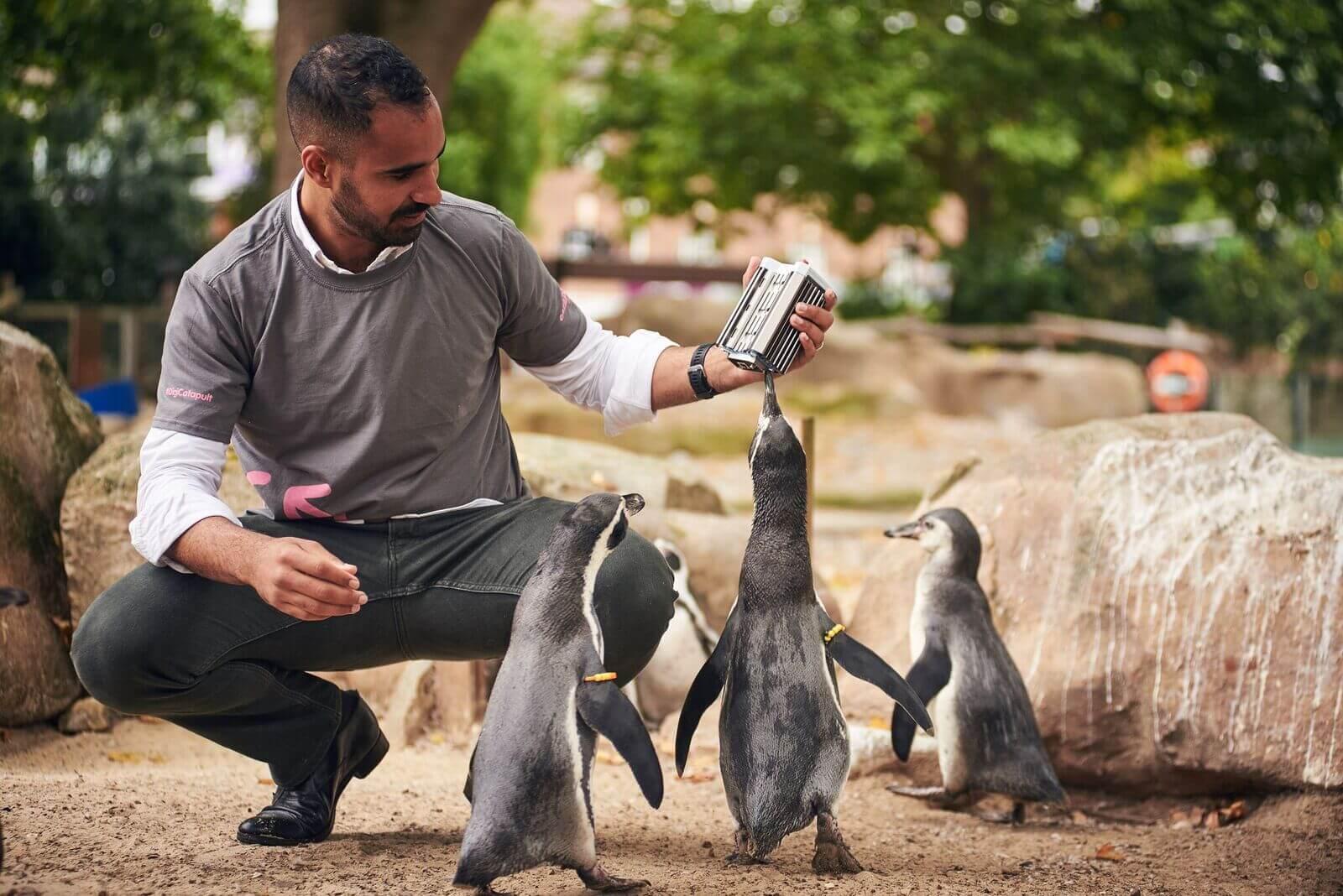 Interact with different species of birds like penguins at ZSL