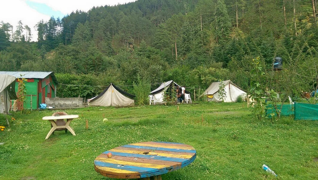 Camping in Woods Kasol Image