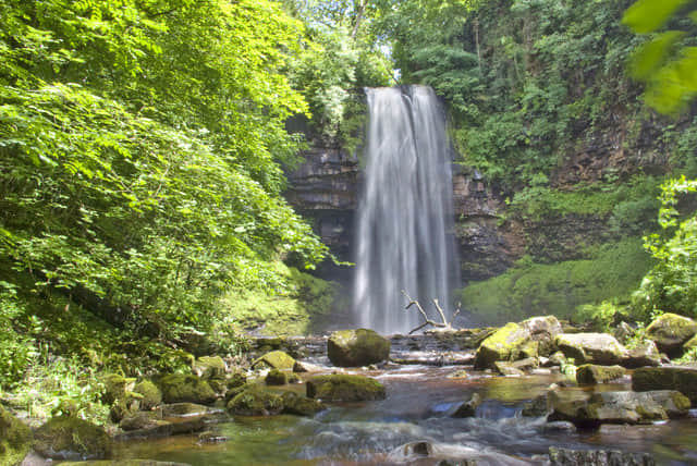 Waterfall Gully