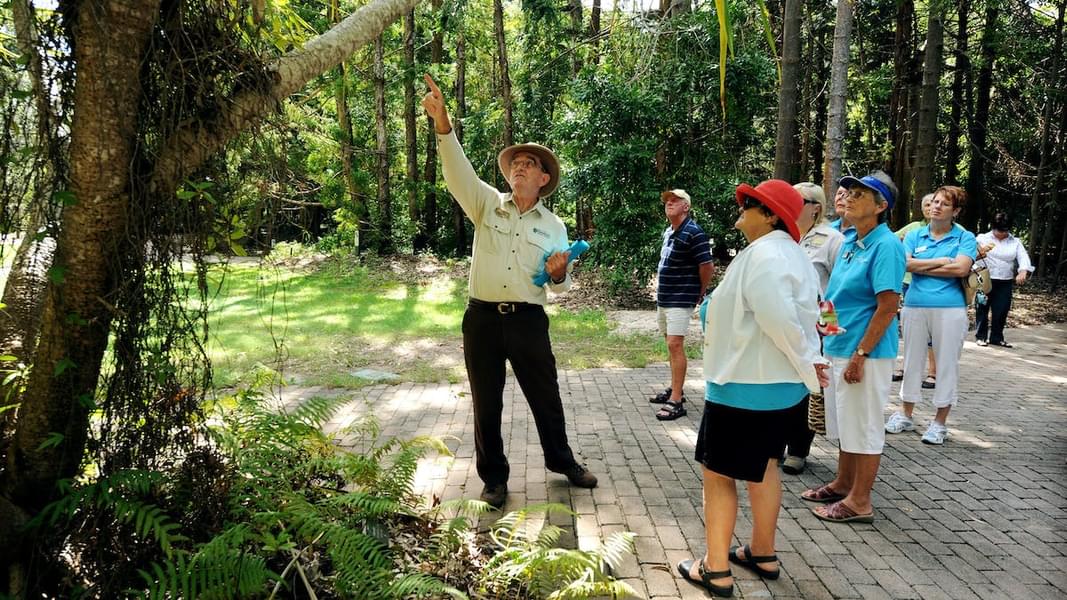 Maleny Botanic Gardens & Rainforest Reserve Day Tour Image